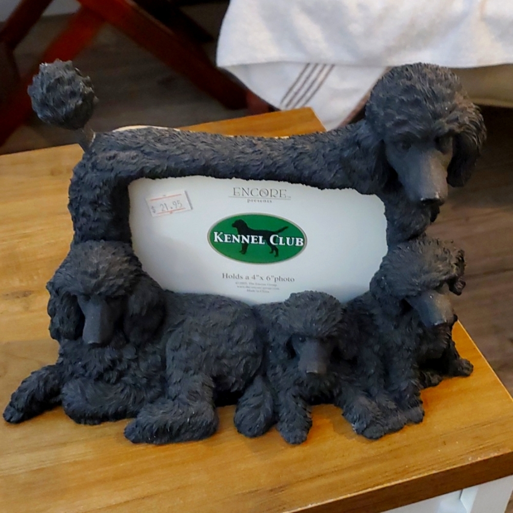ENCORE BLACK POODLE